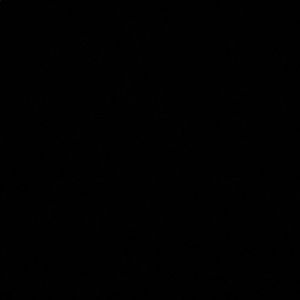 Meet your Posher, Joey